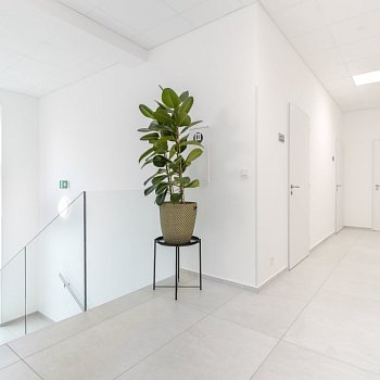 Dentální péče na vysoké úrovni